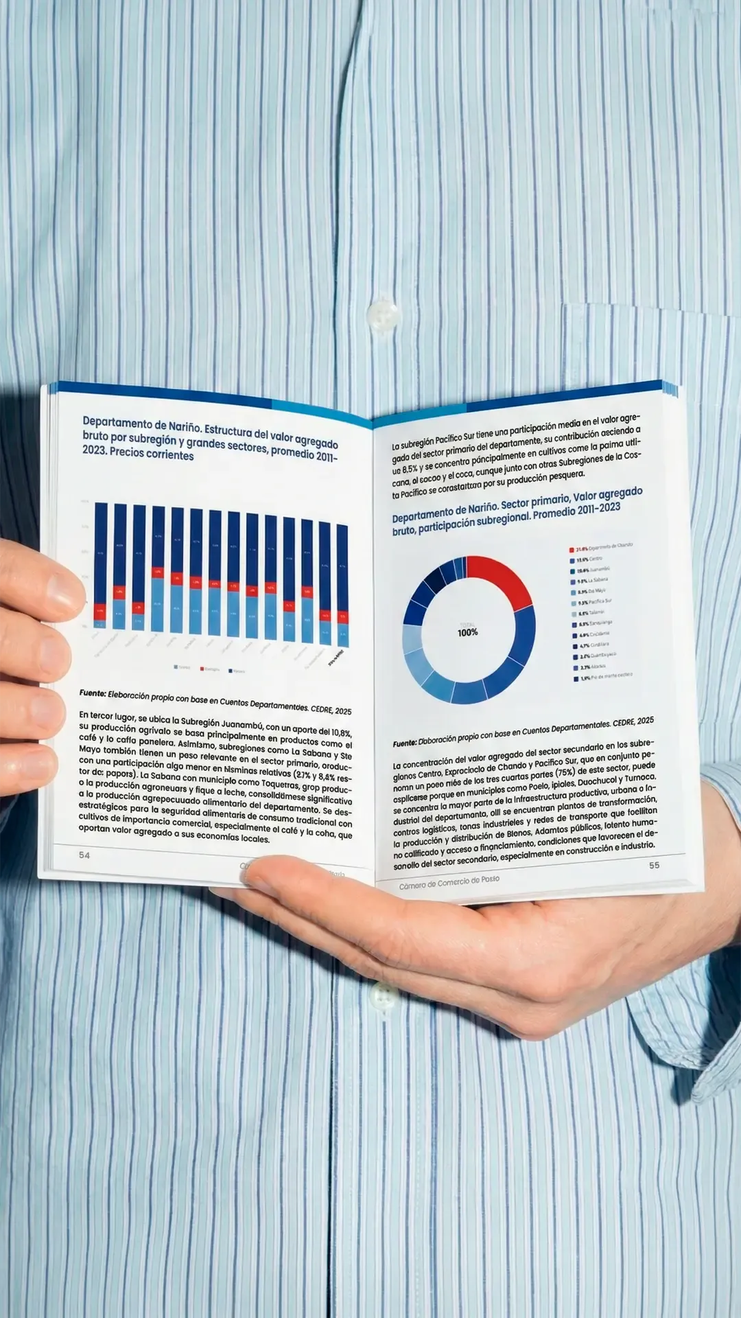Página del informe Dinámica Económica Nariño 2025